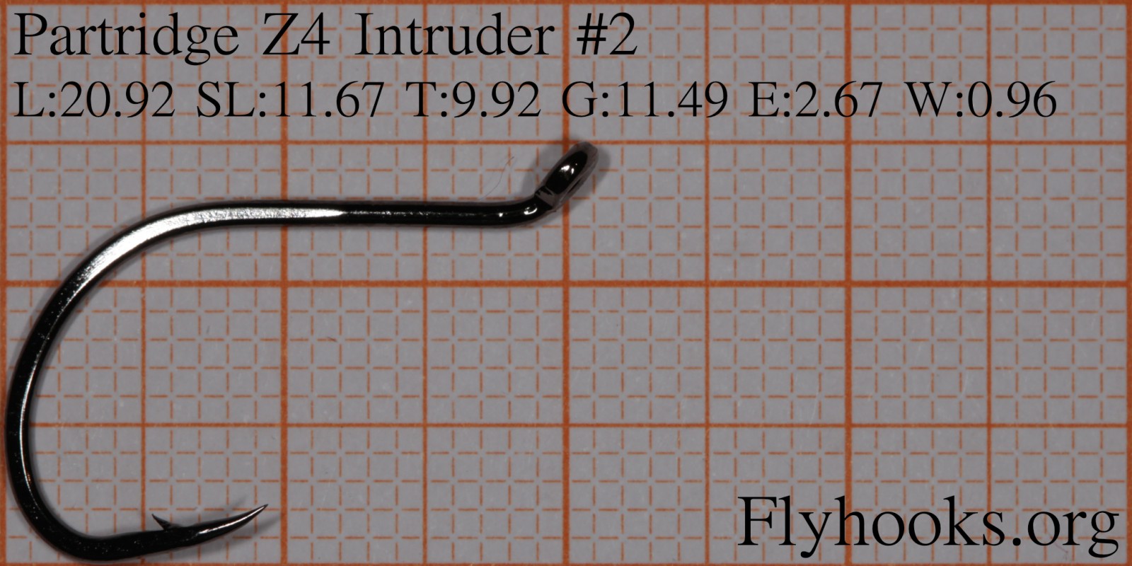 Z4 - Intruder