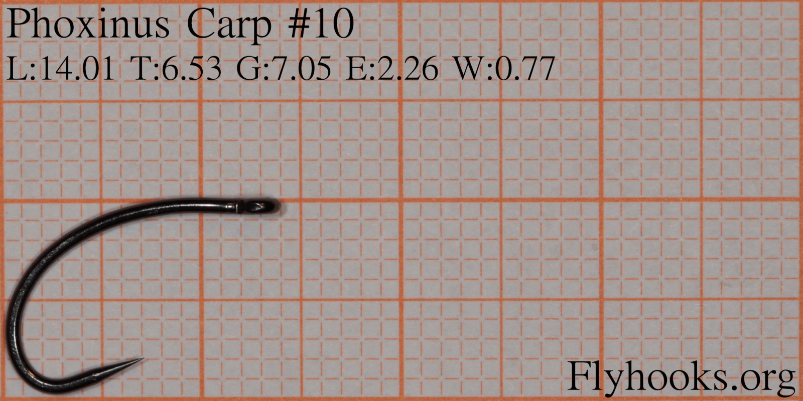 Carp