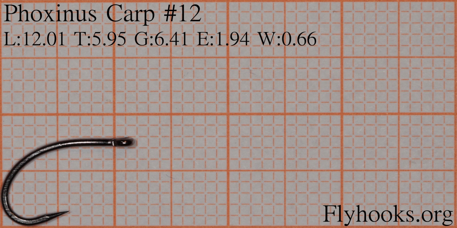 Carp