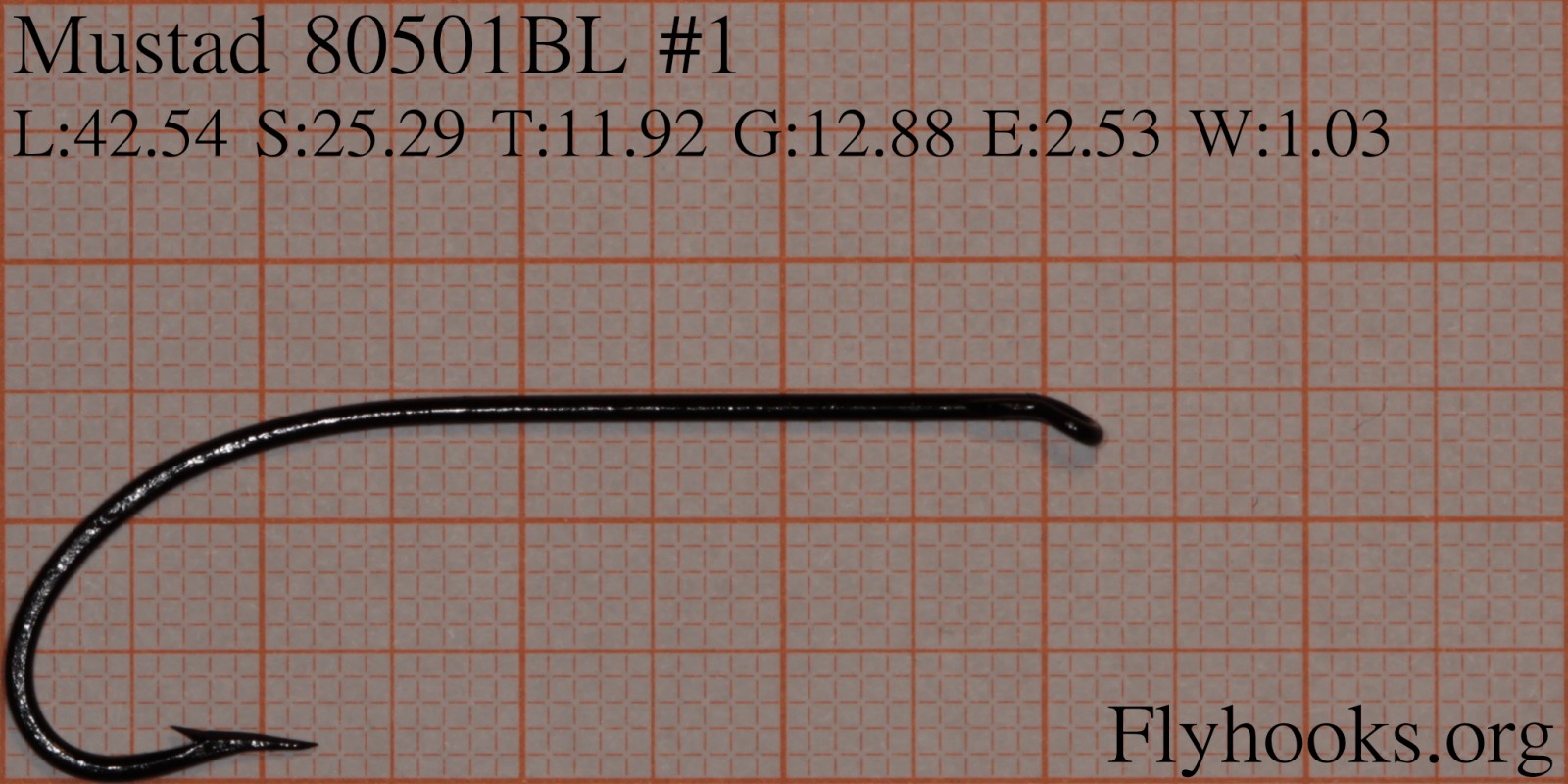 80501 BL