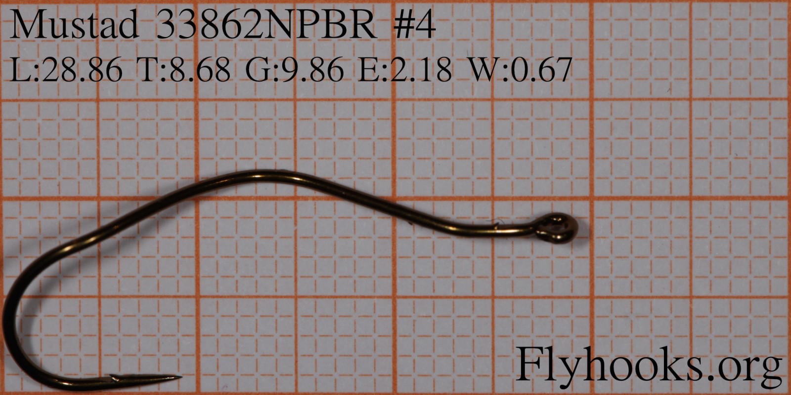 33862NP-BR