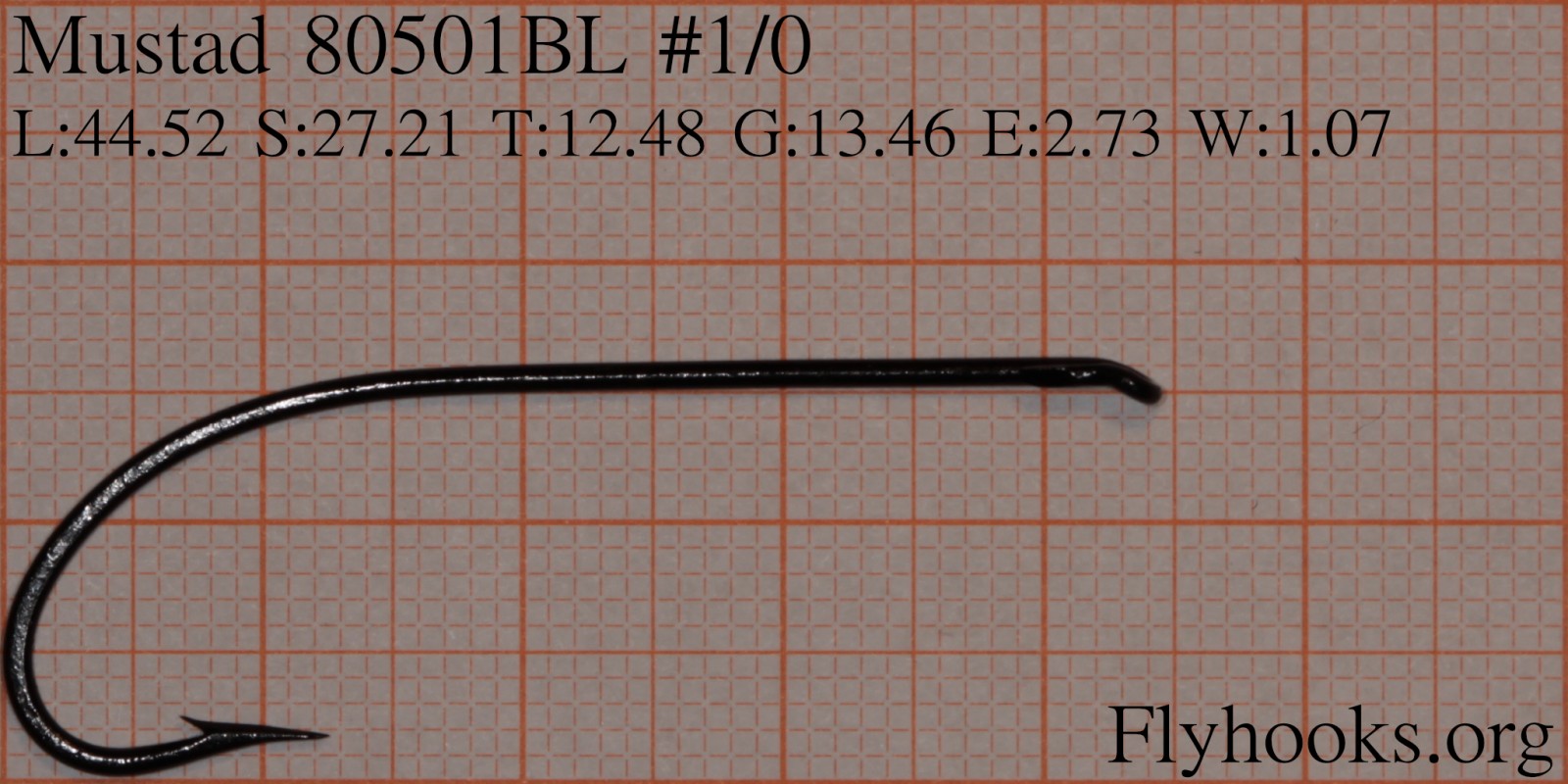 80501 BL