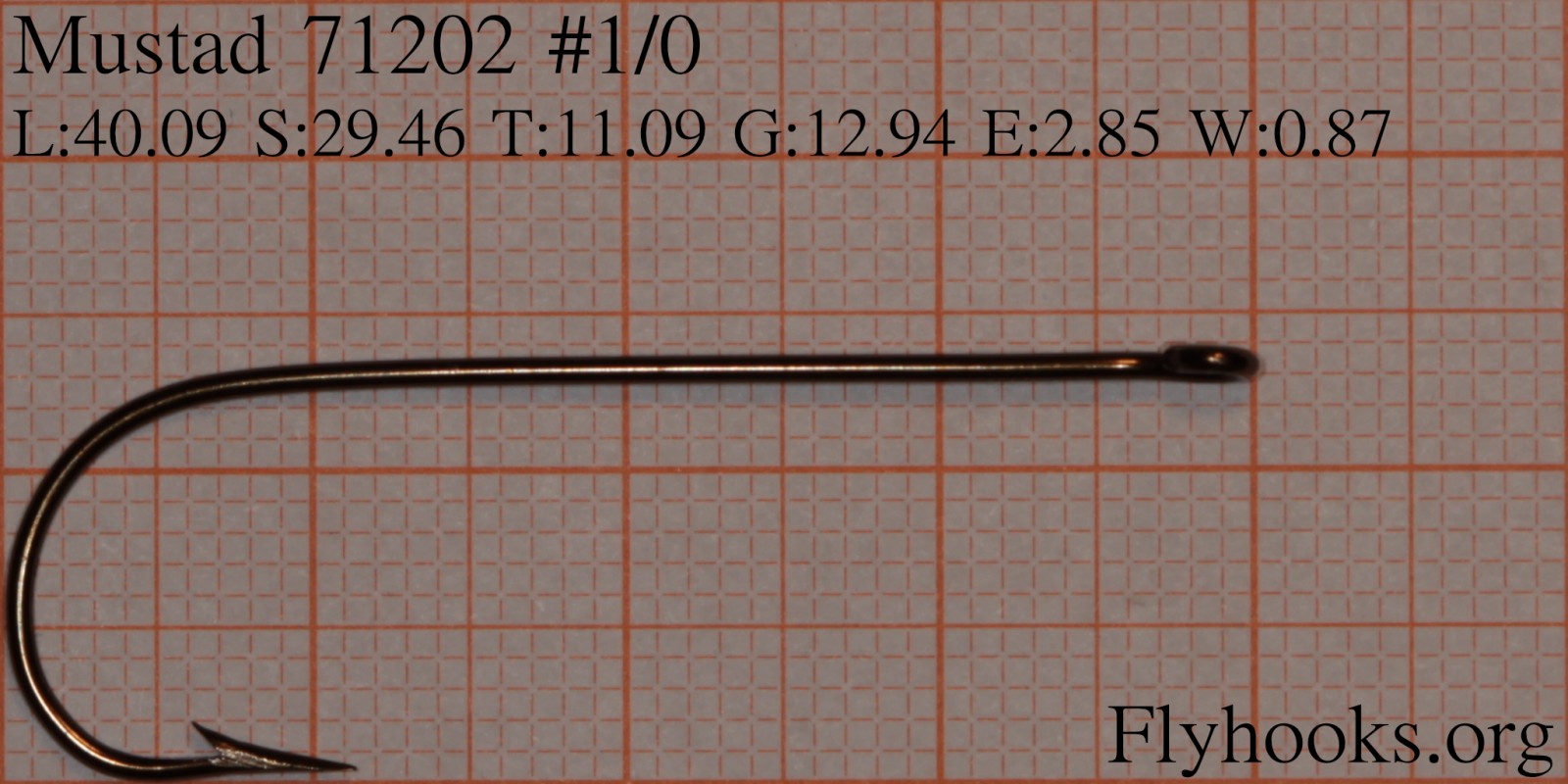 71202