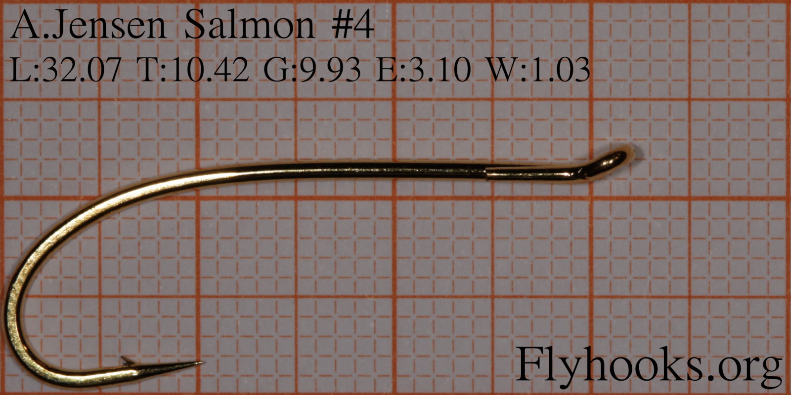 Salmon