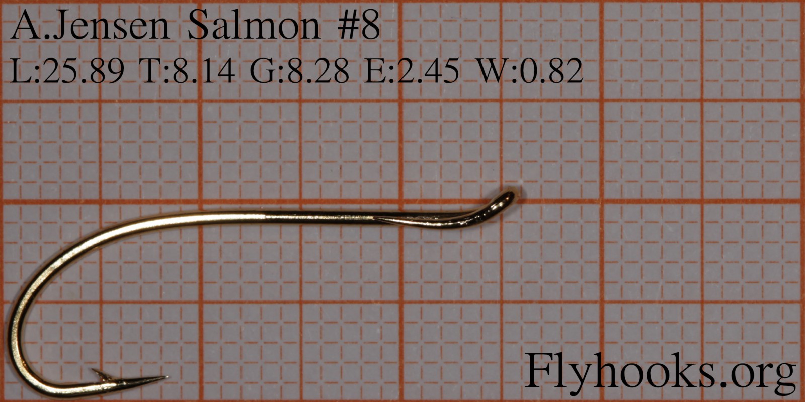 Salmon