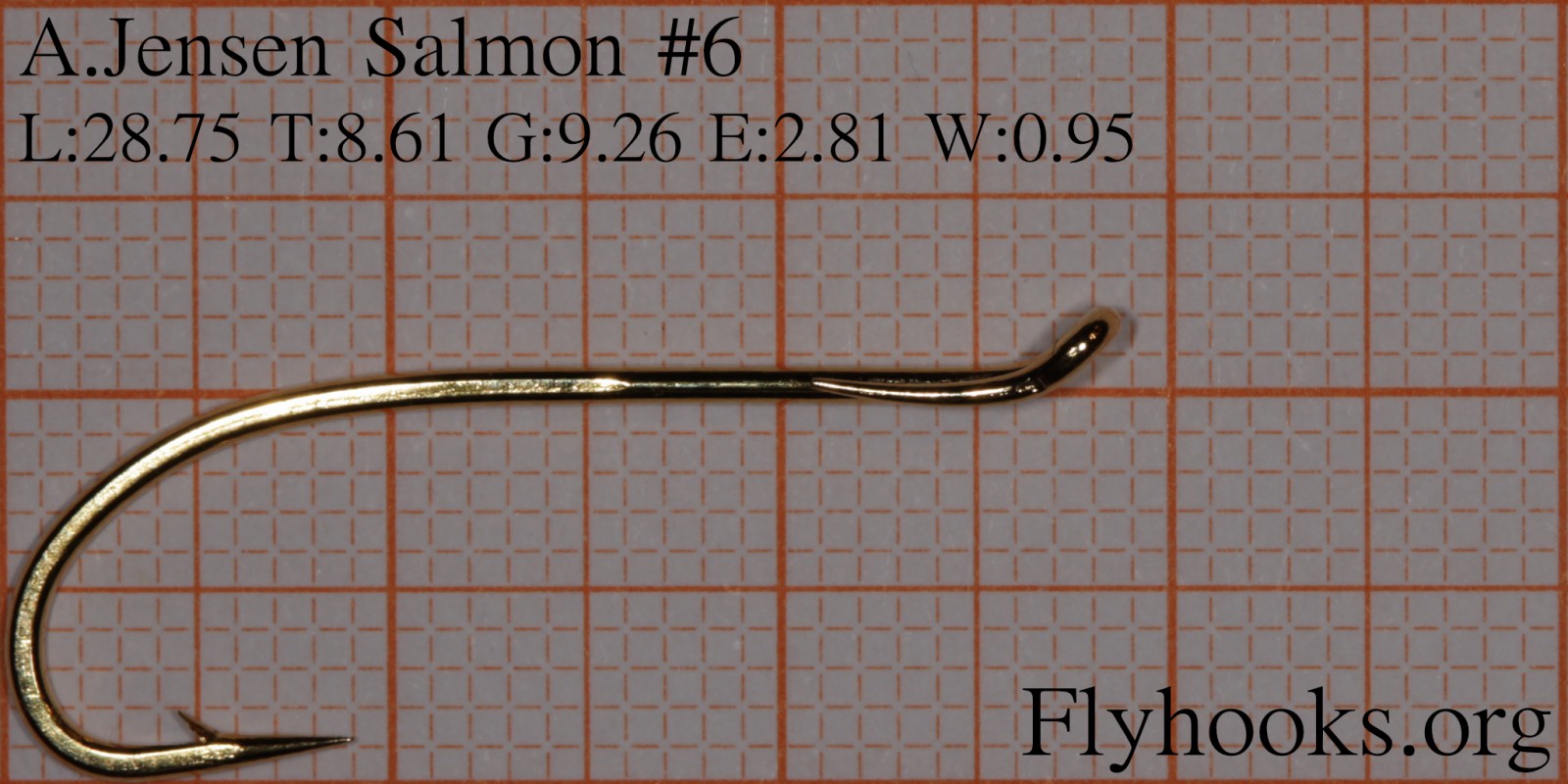 Salmon