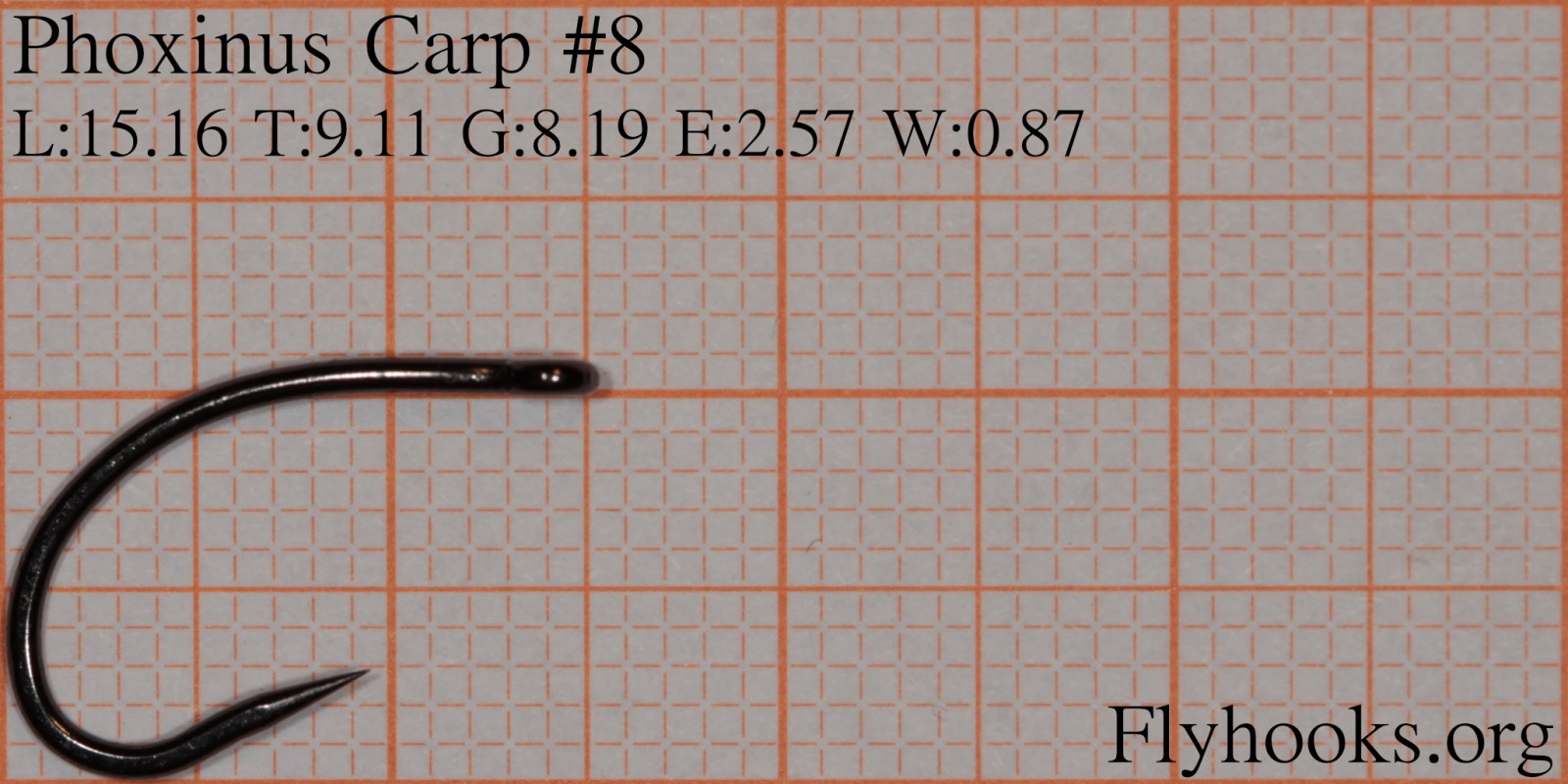 Carp