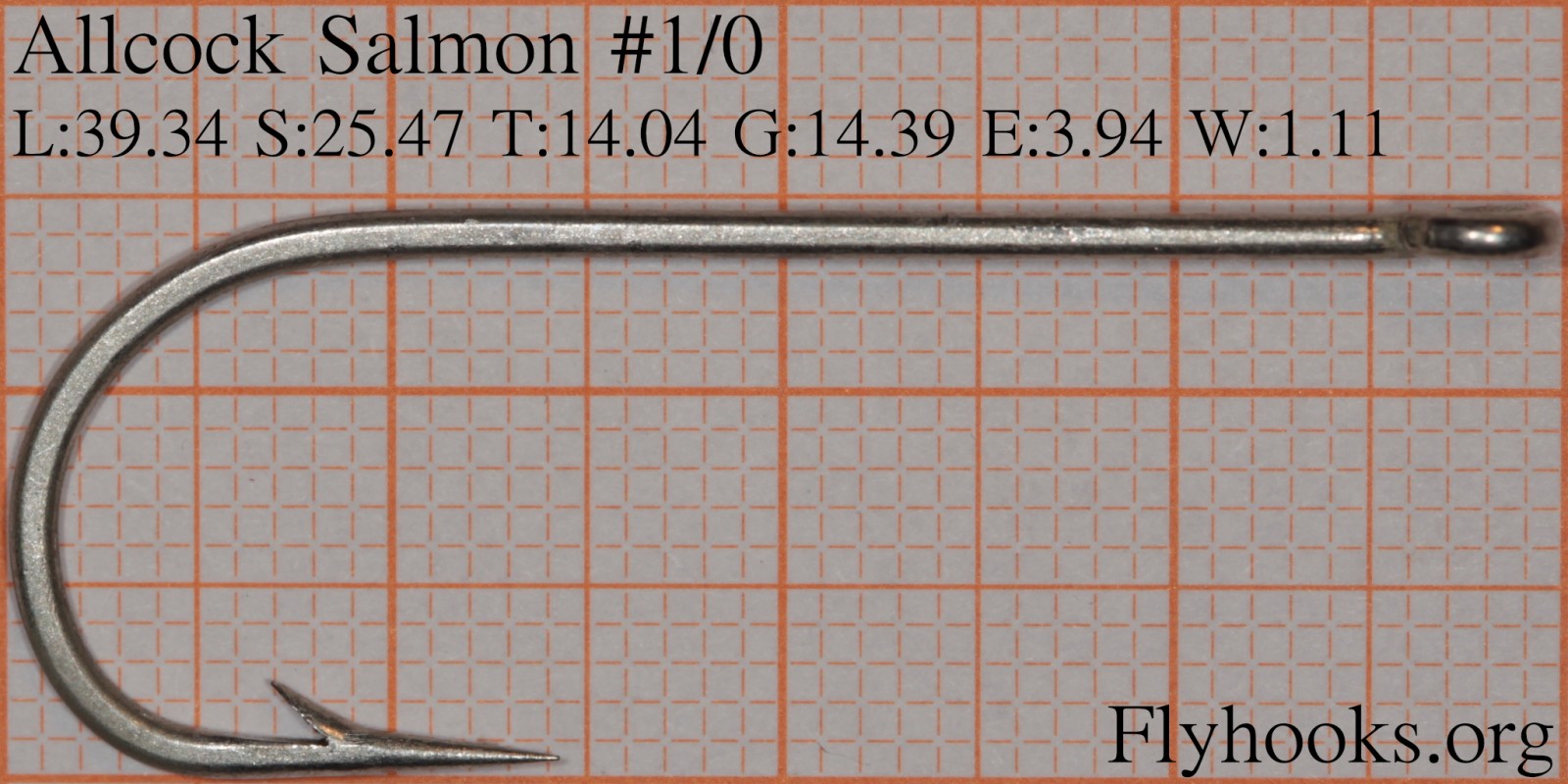 Salmon